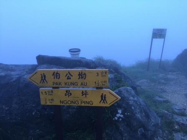 项羽火烧阿房宫是真的吗，还是一个千古误会？