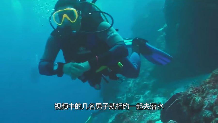 宁夏泾源点“粪”成金 堆出生态“聚宝盆”