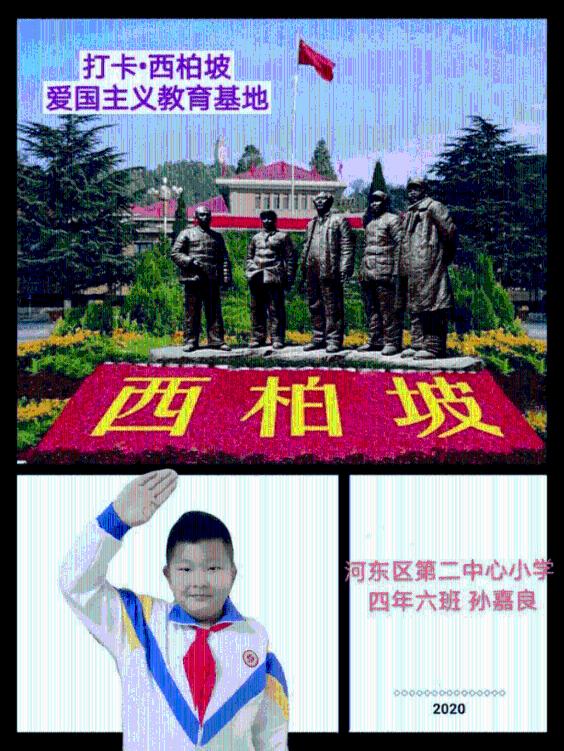 一场持续1780天的实验:8只老鼠,真的预知了人类的未来?