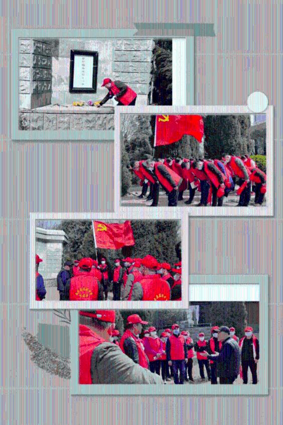种鸽育种应该往鸽舍放这些东西
