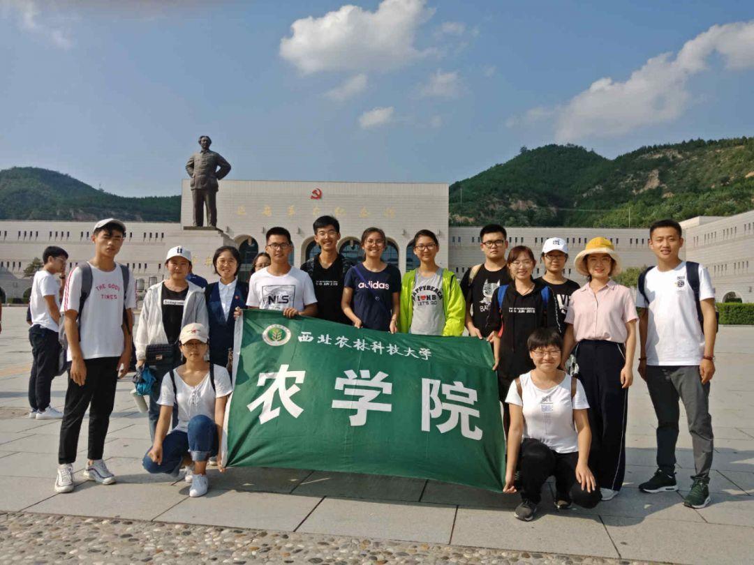 朝阳区建成46家医养结合机构