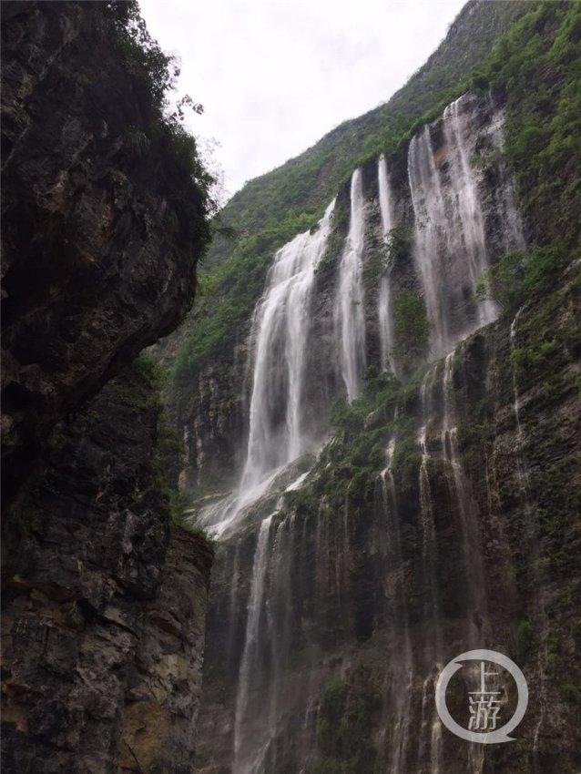 细胞分裂6