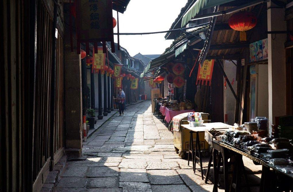 拯救蓝色小鸟