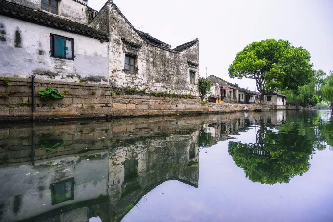救援墨镜哥
