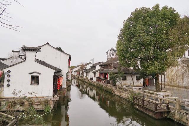 探索海贼王里,革命军新出现的四位队长实力强不强?有多强?,发现红迪网的精彩世界