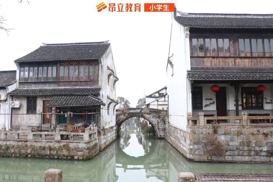 救援卡通小象